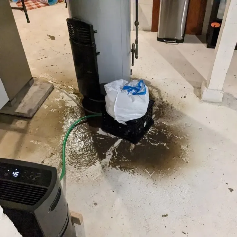 Sewage Backup Cleanup Service in Valley Mills, TX